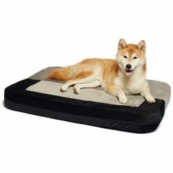 Precious Tails 2-in-1 Convertible Bolstered Pet Bed Home Pet Supplies