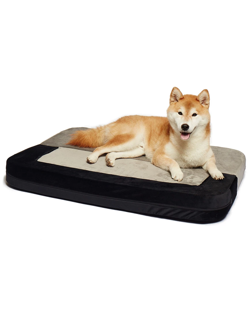 Precious Tails 2-in-1 Convertible Bolstered Pet Bed Home Pet Supplies